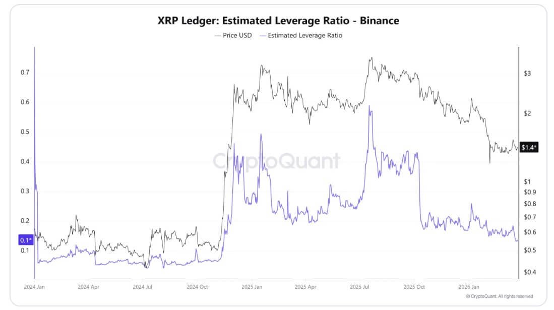 XRP's Estimated Leverage