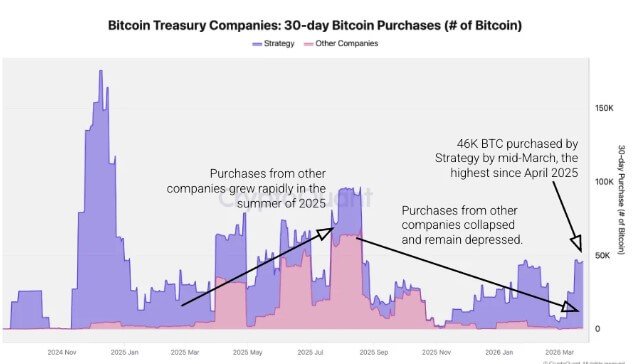Strategy Dominates Bitcoin Treasury Companies BTC Purchases