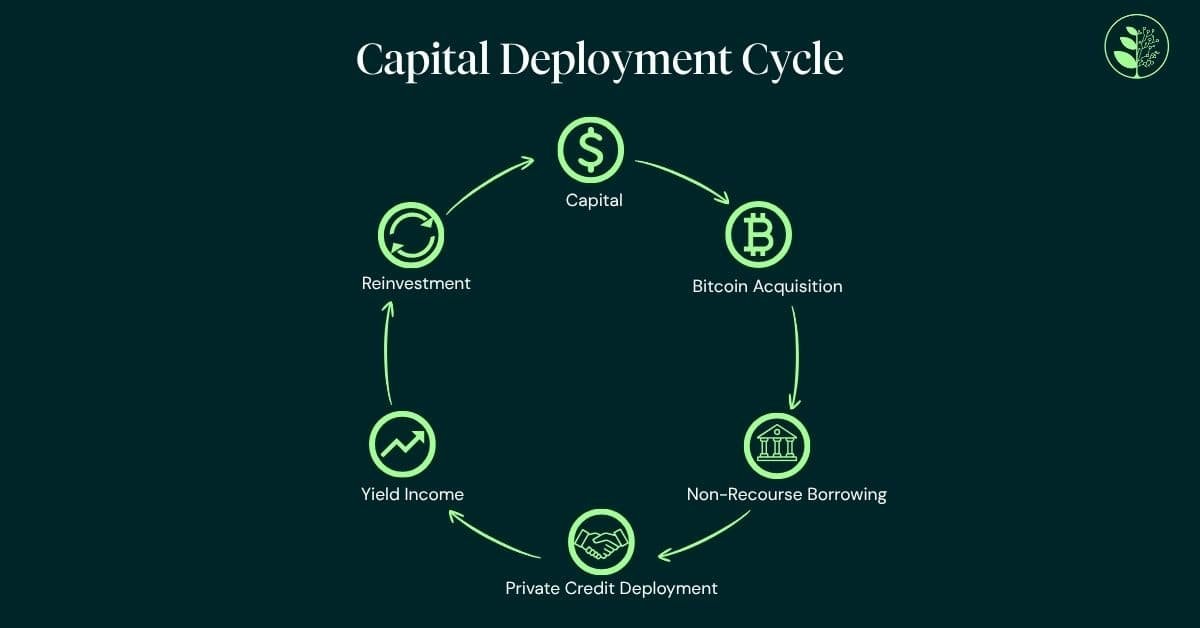 Capital Deployment Cycle, Image provided by Greengage, 2026
