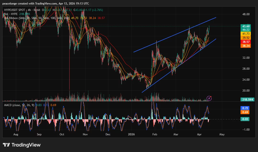 Will Hyperliquid price break $46 or reverse at ascending channel resistance? - 2