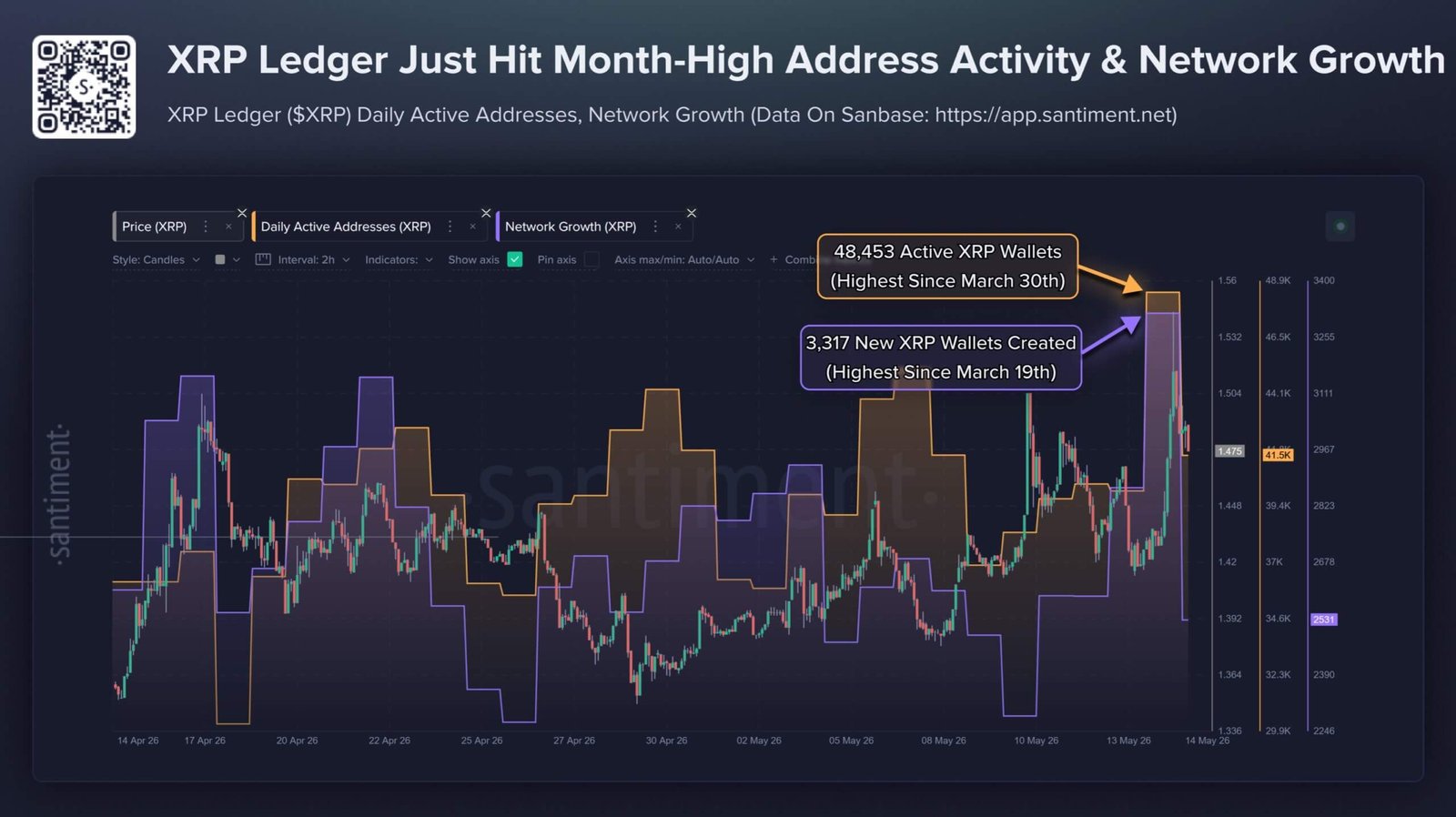 XRPL Network Activity