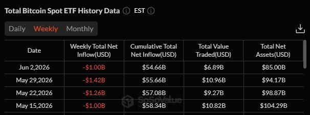 Bitcoin ETFs Outflows