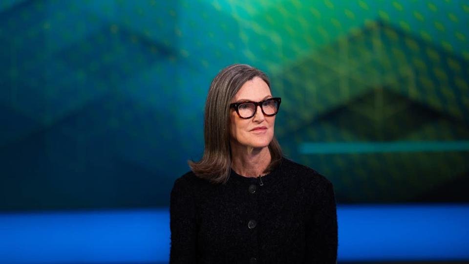 Cathie Wood’s ARK sold Robinhood and Roku after sharp stock ralliesJose Sarmento Matos&sol;Bloomberg via Getty Images